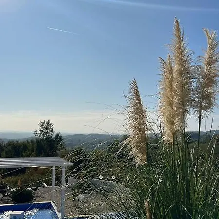 Calm House * פריידור